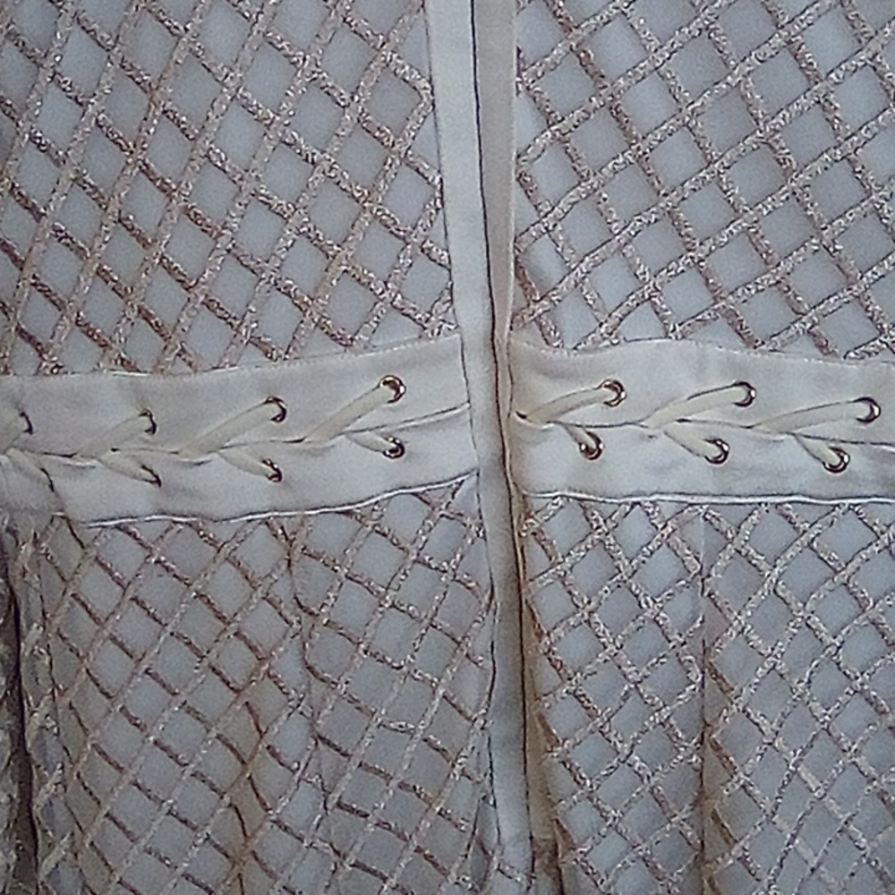 Bebe Fancy Party Cocktail Sheer Dress With Slip Lining . Size 10. - Picture 7 of 11